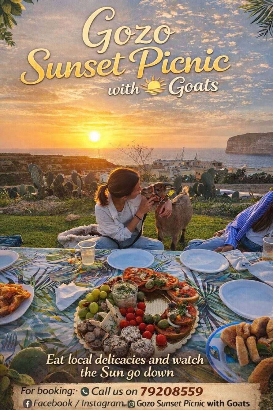 Sunset Picnic on Xlendi cliffs with pygmy goats